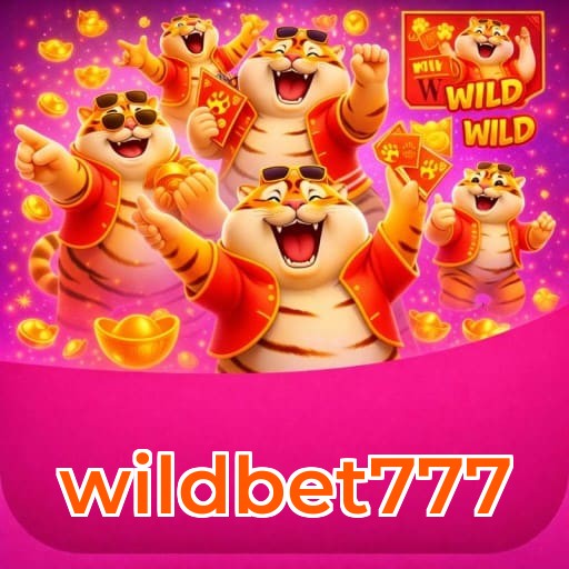 Resumo visual de bônus e campanhas wildbet777